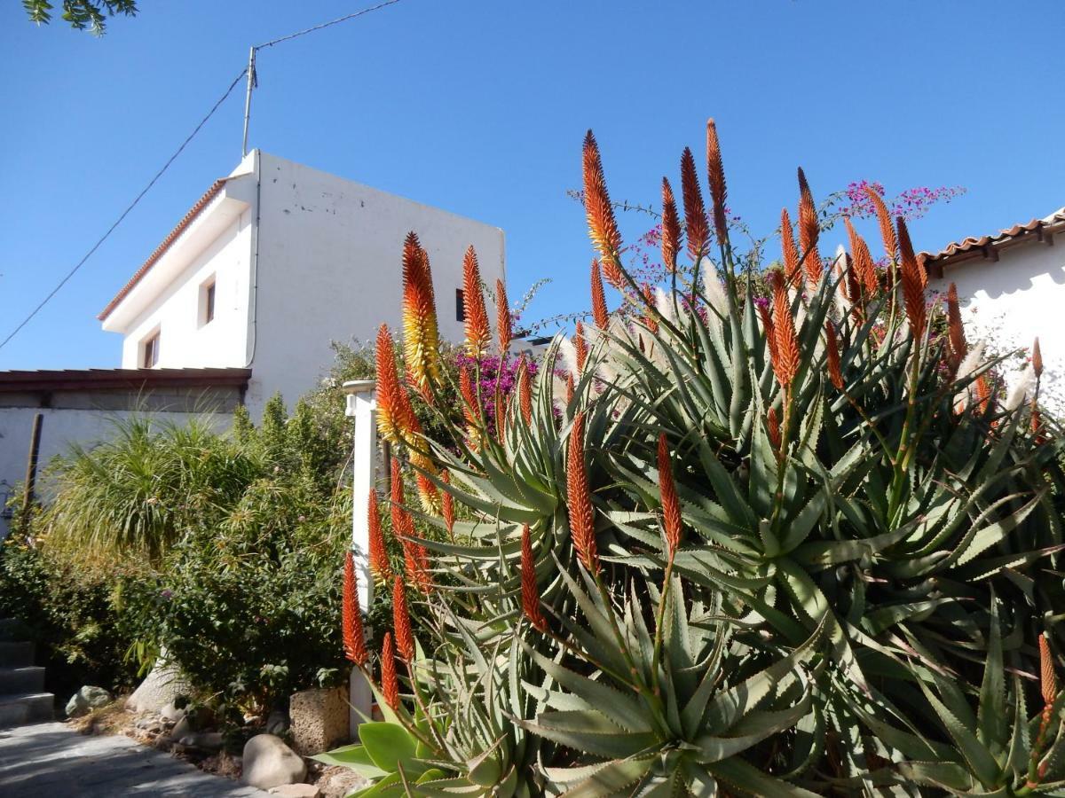 Finca Florida سان ميغيل ذي أبونا المظهر الخارجي الصورة