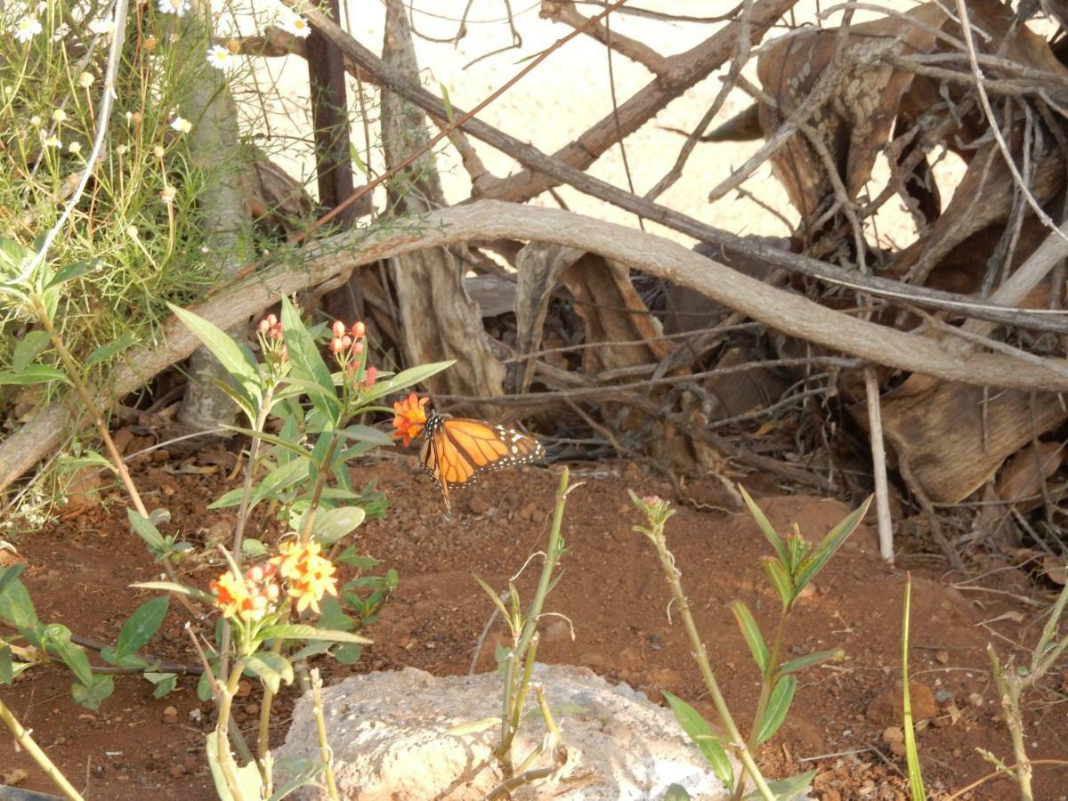 Finca Florida سان ميغيل ذي أبونا المظهر الخارجي الصورة