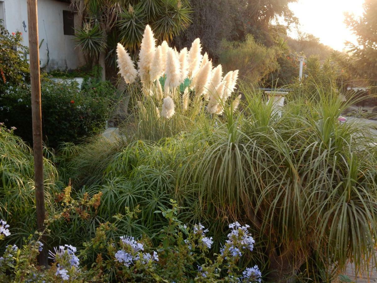 Finca Florida سان ميغيل ذي أبونا المظهر الخارجي الصورة