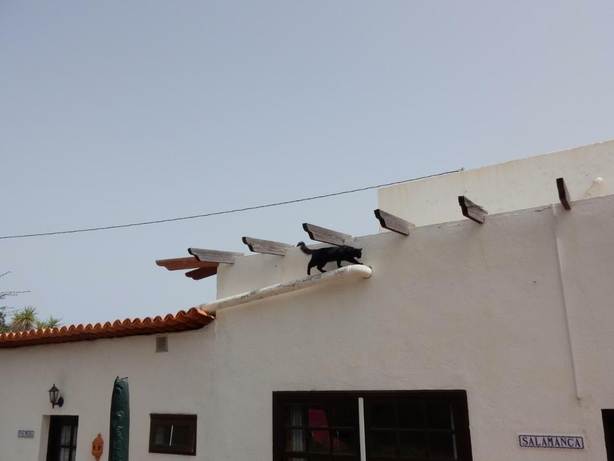 Finca Florida سان ميغيل ذي أبونا المظهر الخارجي الصورة
