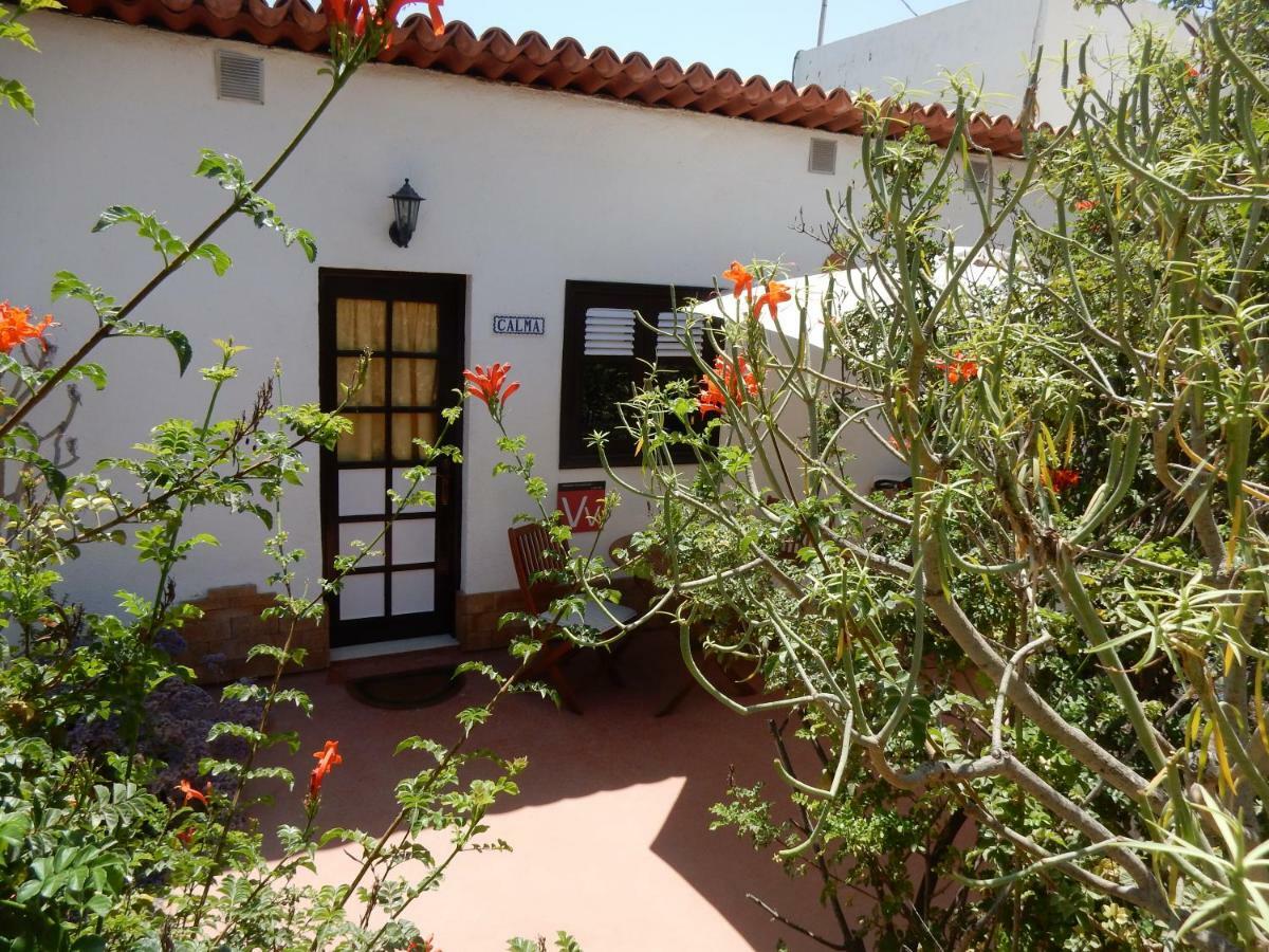 Finca Florida سان ميغيل ذي أبونا المظهر الخارجي الصورة