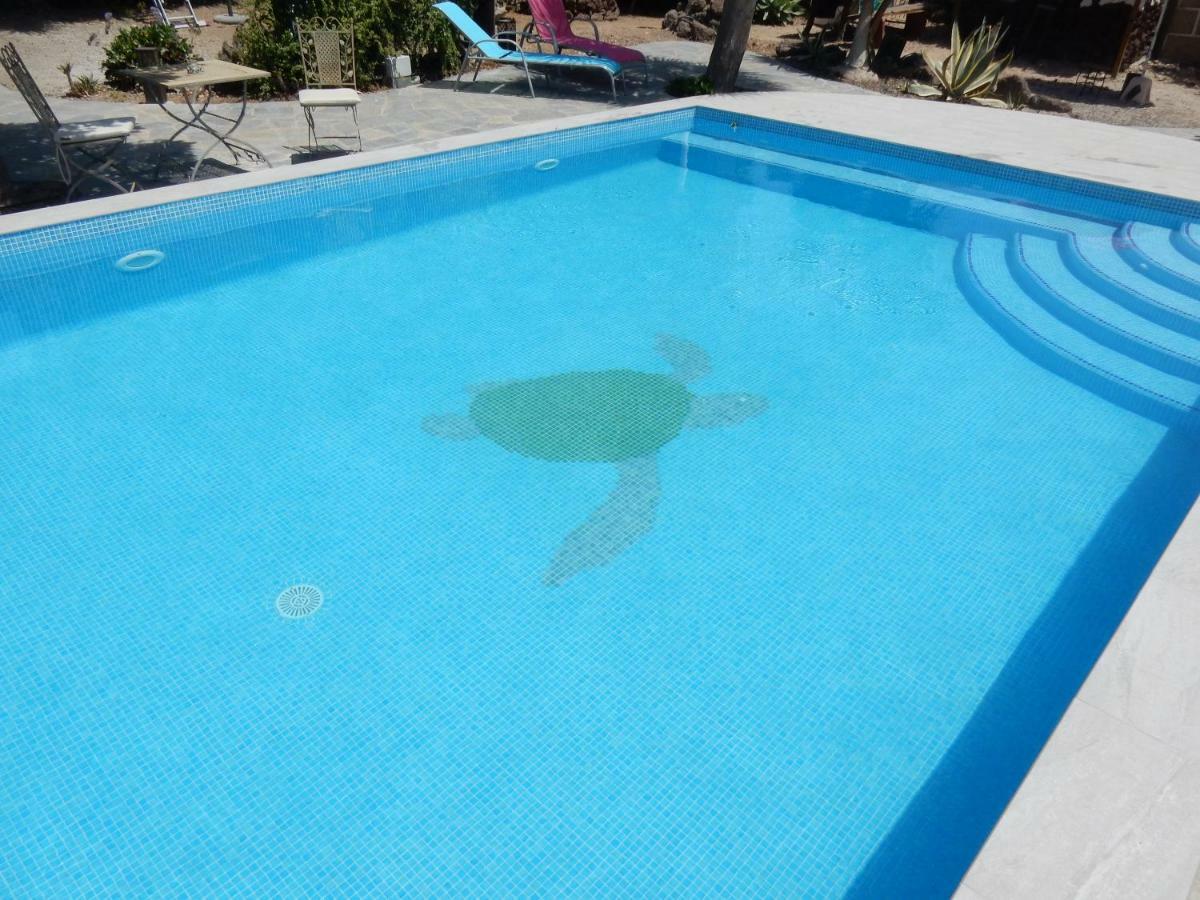 Finca Florida سان ميغيل ذي أبونا المظهر الخارجي الصورة
