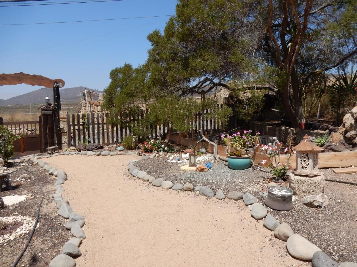 Finca Florida سان ميغيل ذي أبونا المظهر الخارجي الصورة