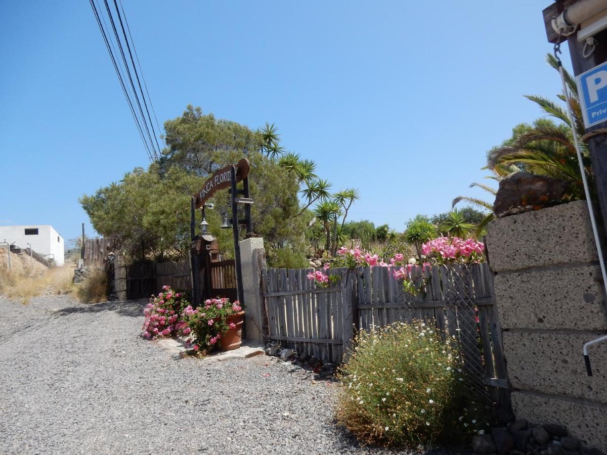 Finca Florida سان ميغيل ذي أبونا المظهر الخارجي الصورة