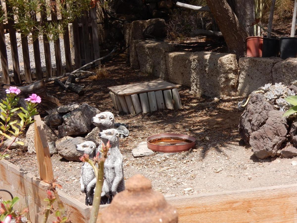 Finca Florida سان ميغيل ذي أبونا المظهر الخارجي الصورة